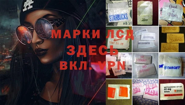 стаф Баксан